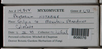 Image Associated With the Occurence